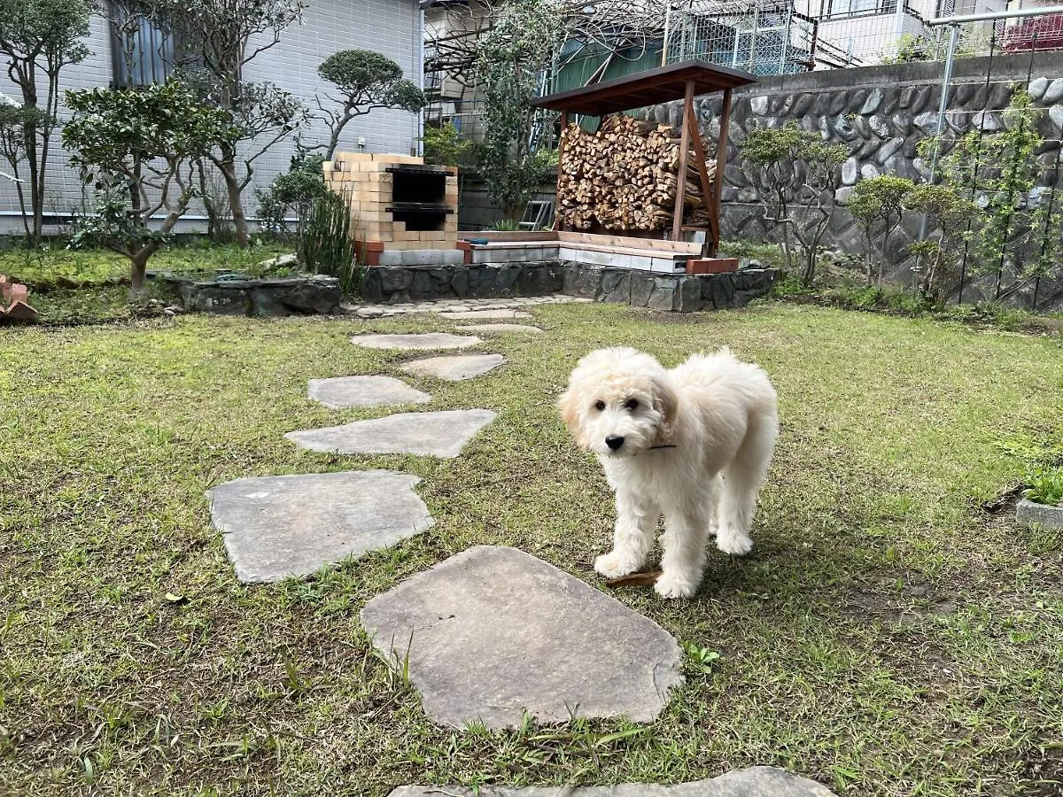 湘南ソラル〜二宮の高台・アートな庭付き日本家屋121㎡／高速wifi／芝生ドッグラン・ピザ窯bbq有 Villa Ninomiya 0*,
